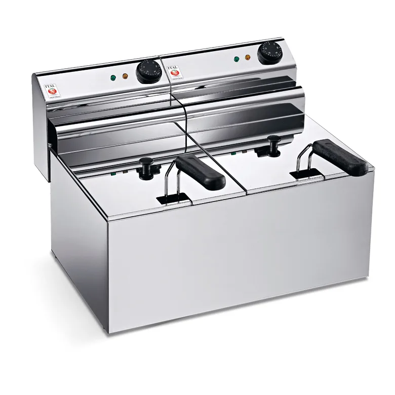 Double-Well Electric Fryer